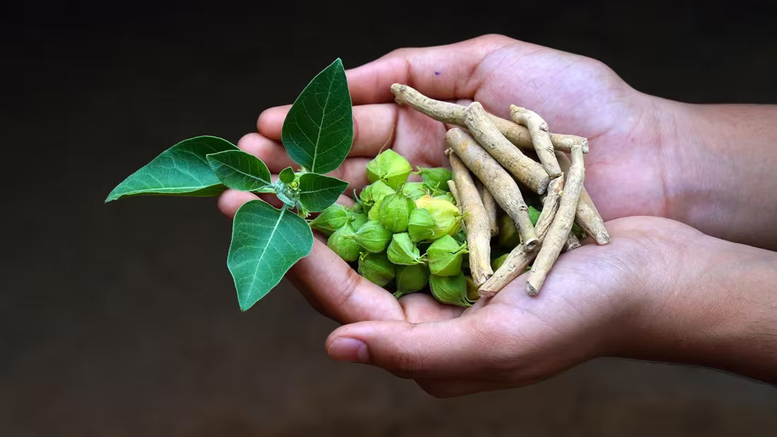 Not My Emergency (Ashwagandha)