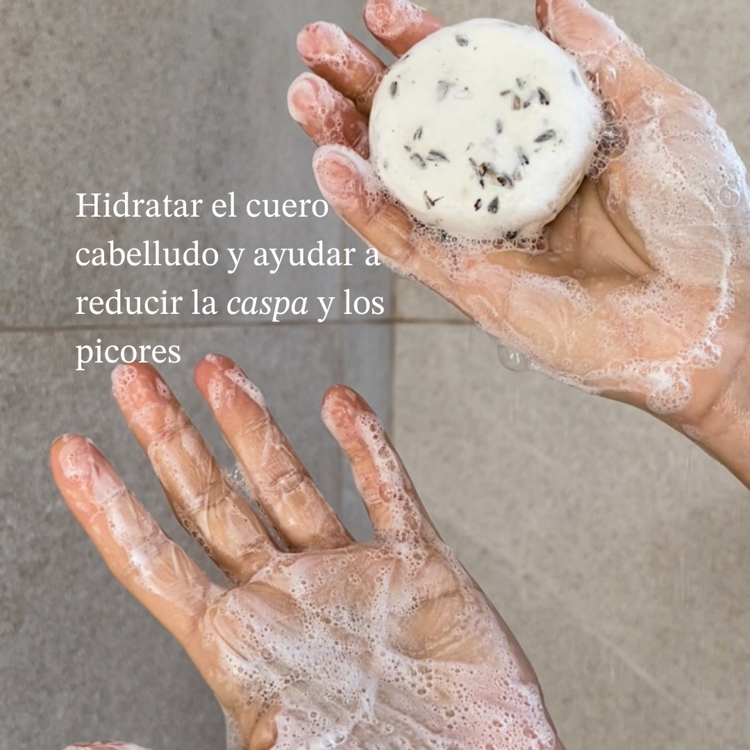 Solid Nourishing Shampoo-1