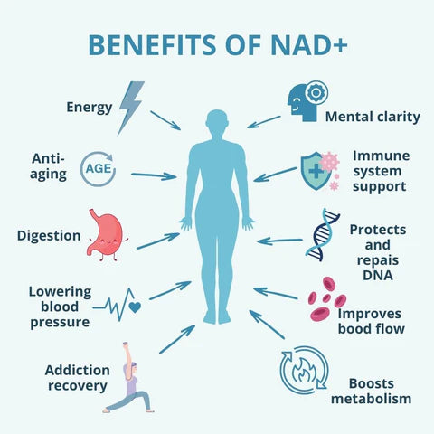 Still Going (NAD+)